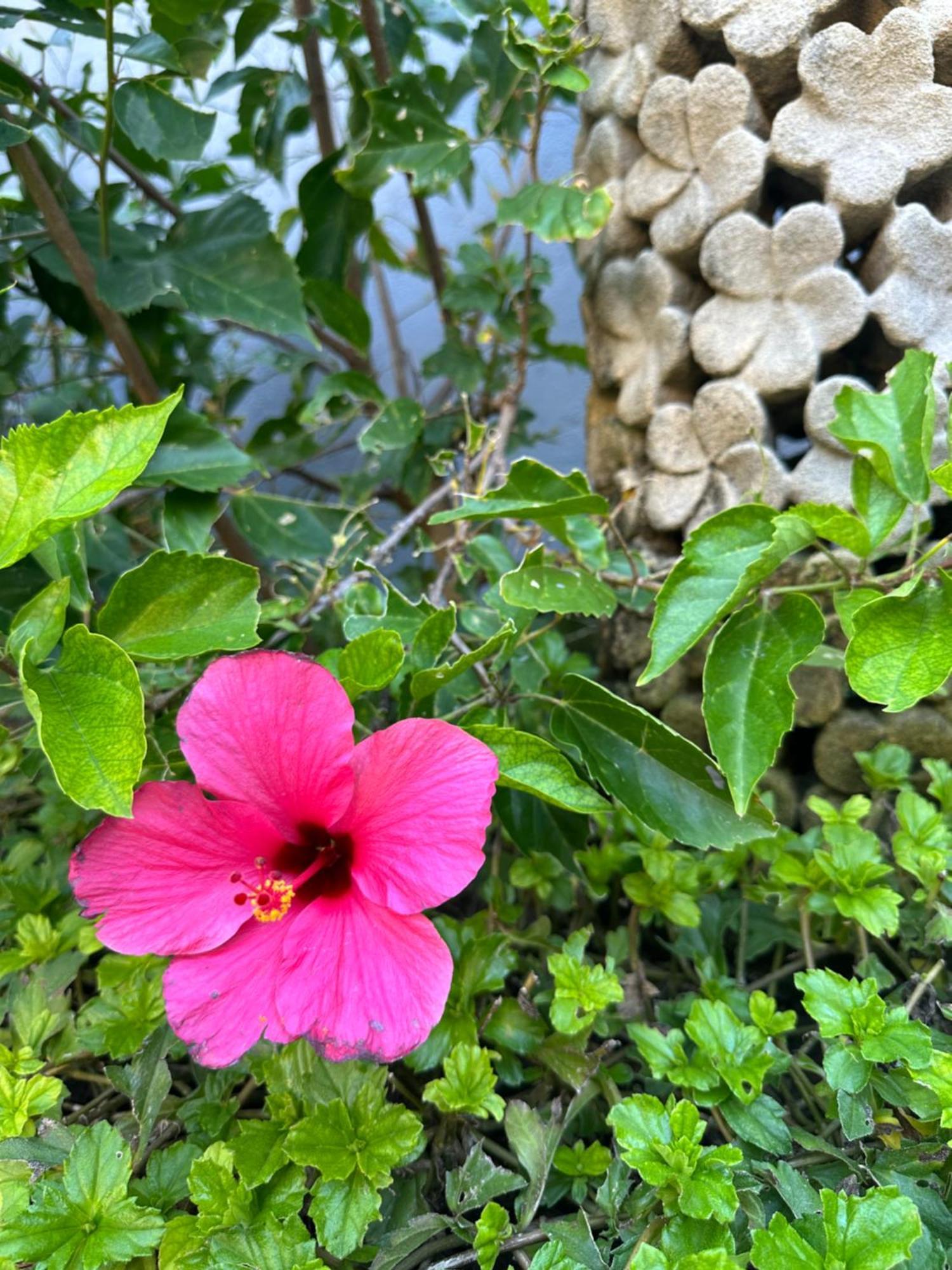 Radha Bali Hotel Kuta  Luaran gambar